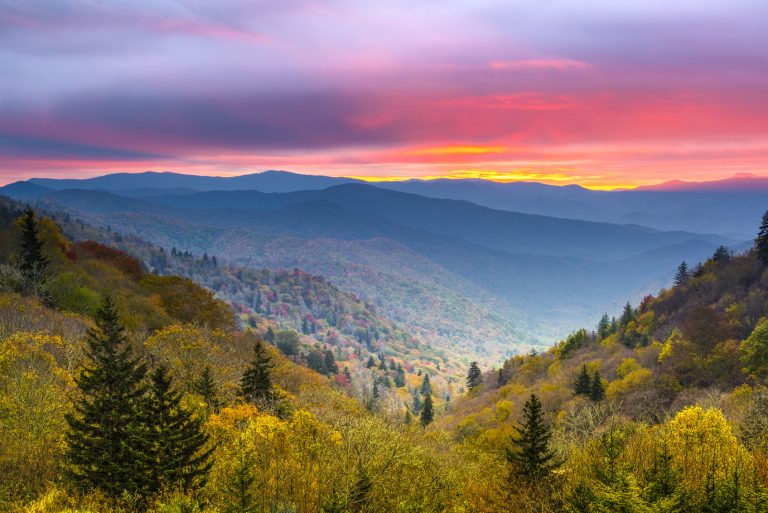 Our Favorite Hiking Trails All Around the Smokies