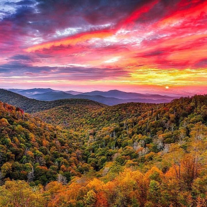 Spring in the Smokies Mar. 2020