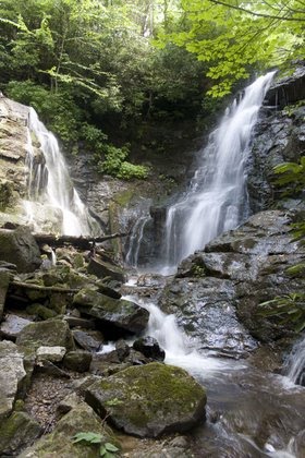 Our Favorite Hiking Trails All Around the Smokies blog image #2