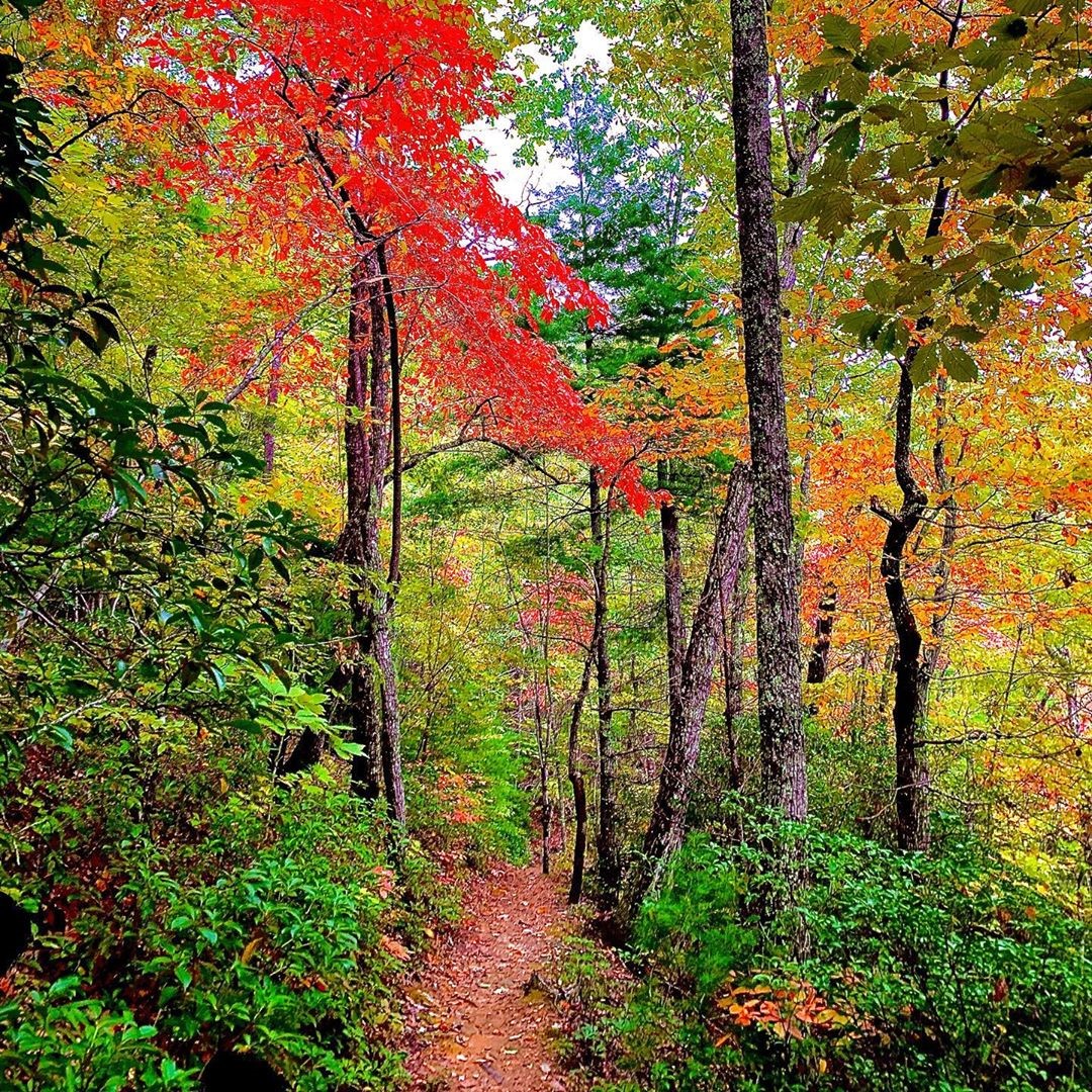 Our Favorite Hiking Trails All Around the Smokies blog image #3